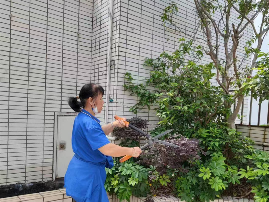 園林綠化養(yǎng)護修剪