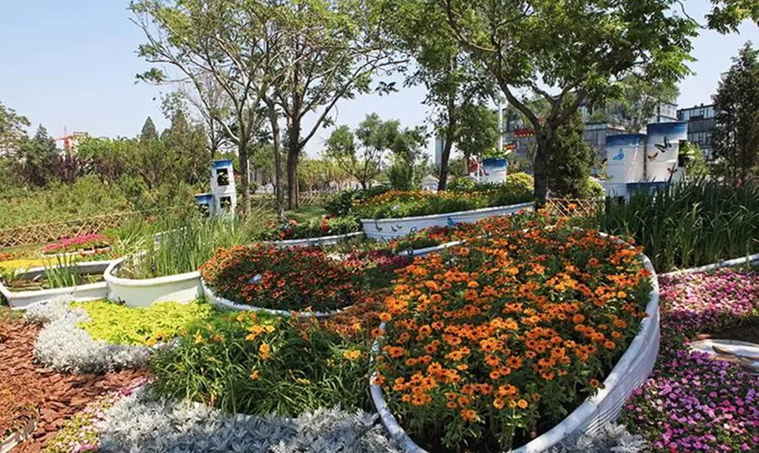 低碳花園景觀設計