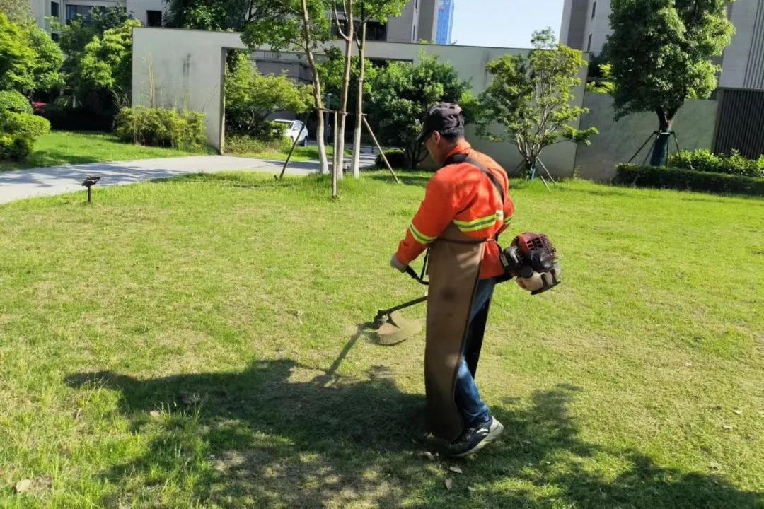 小區綠化養護修剪
