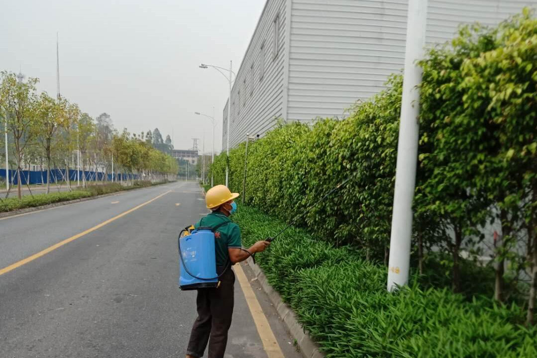 怡軒園林綠化養護病蟲害防治