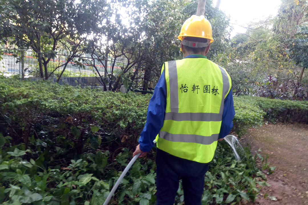 夏季綠化養護澆水