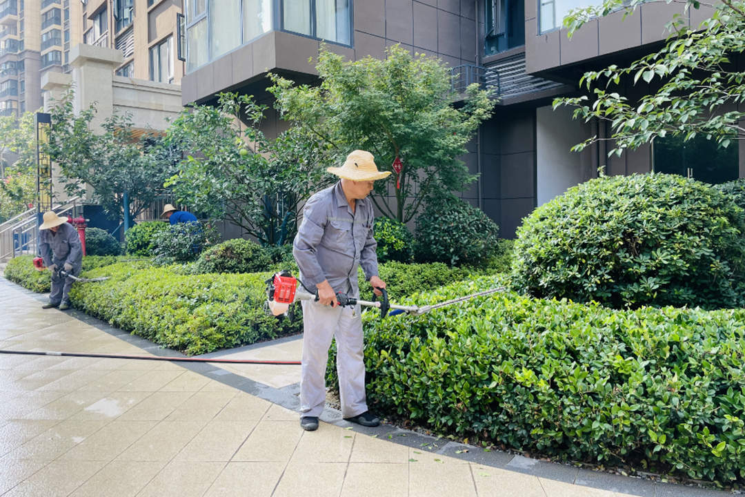 夏季小區綠化養護修剪