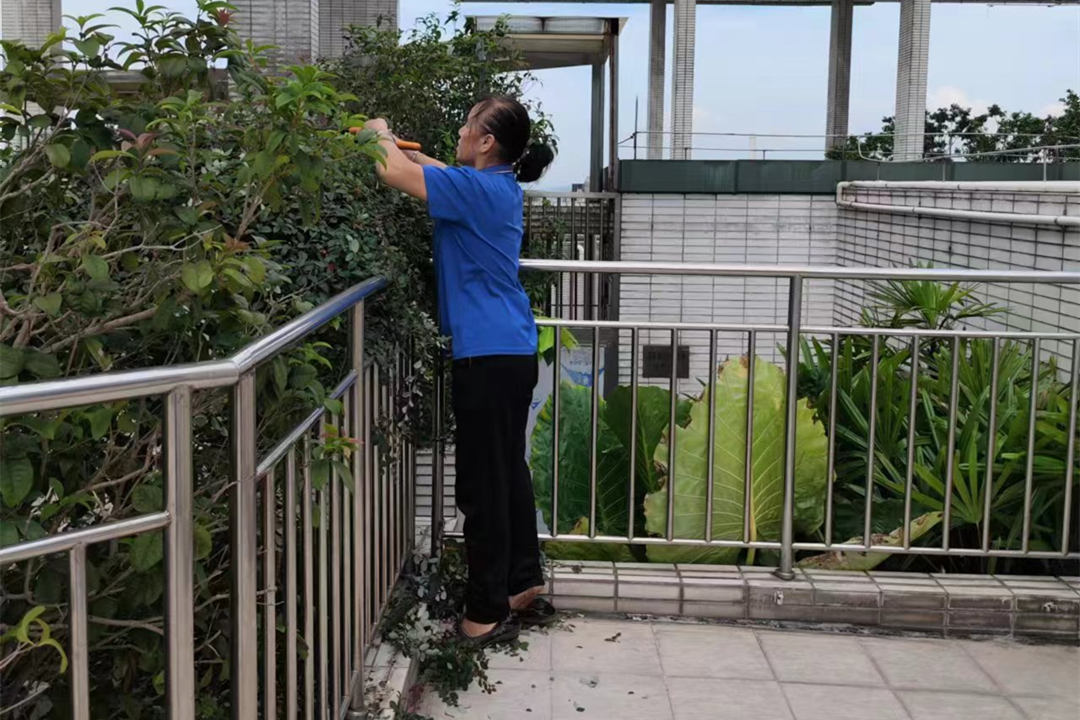 廣州逸翠灣小區綠化養護修剪清理
