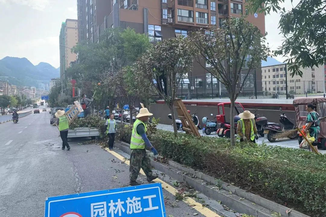 園林綠化養護修剪