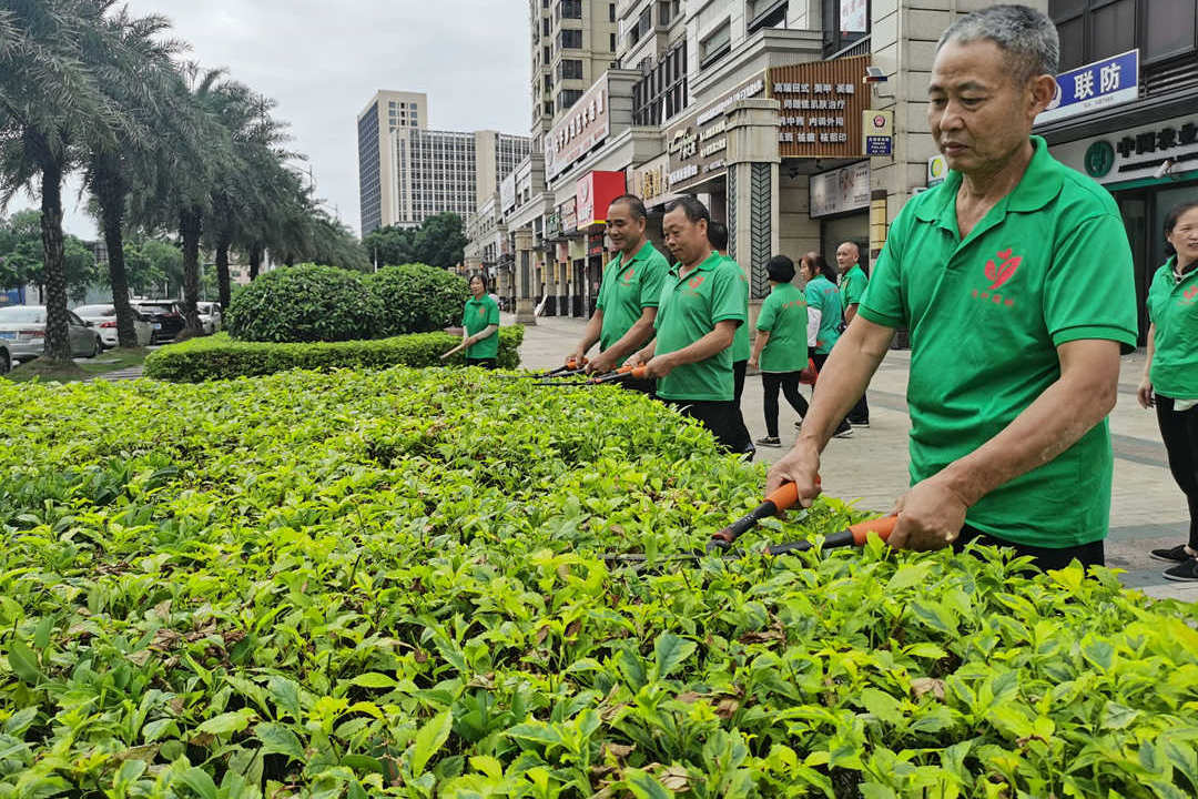 萬達華府小區綠化養護修剪