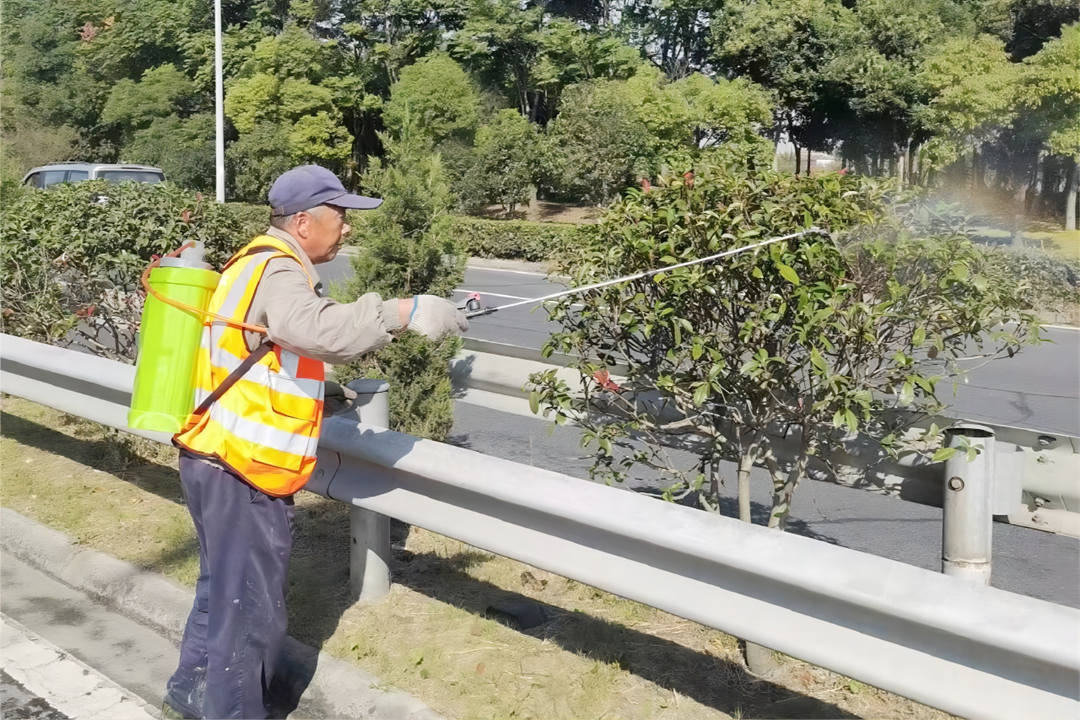 道路綠化養護