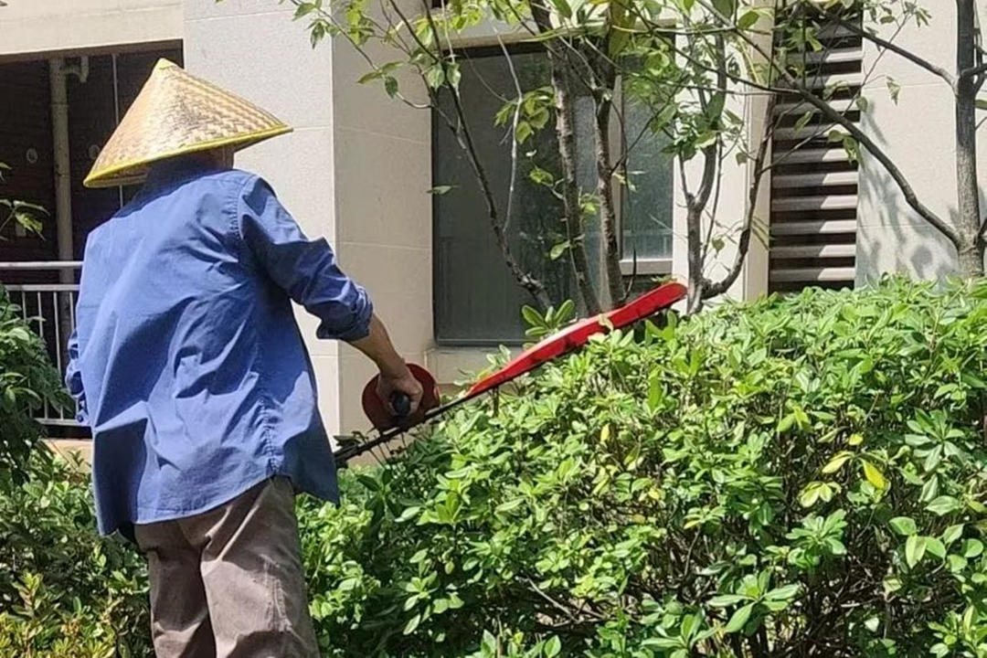 廠區綠化養護修剪