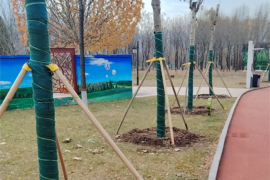 北方地區(qū)綠化養(yǎng)護苗木纏保溫帶