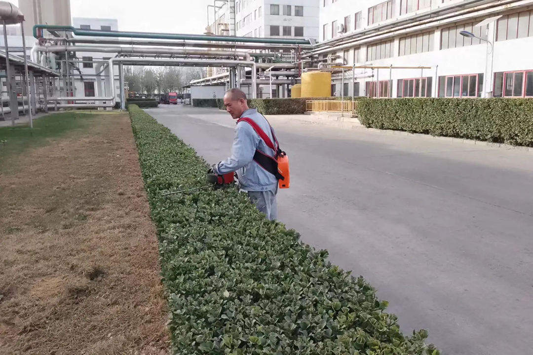 華旭廠區綠化養護修剪