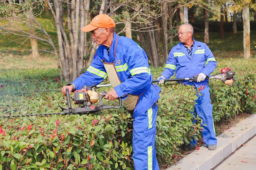 小區綠化養護修剪